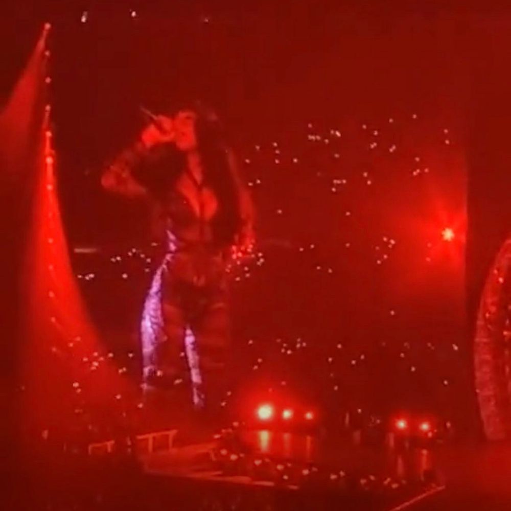 Megan Thee Stallion.