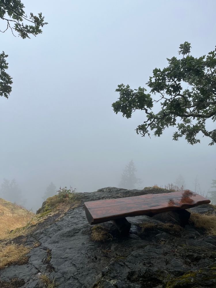 A bench sits on a rocky outcrop, tendering the prospect of fine views, but faces only an unyielding bank of fog.