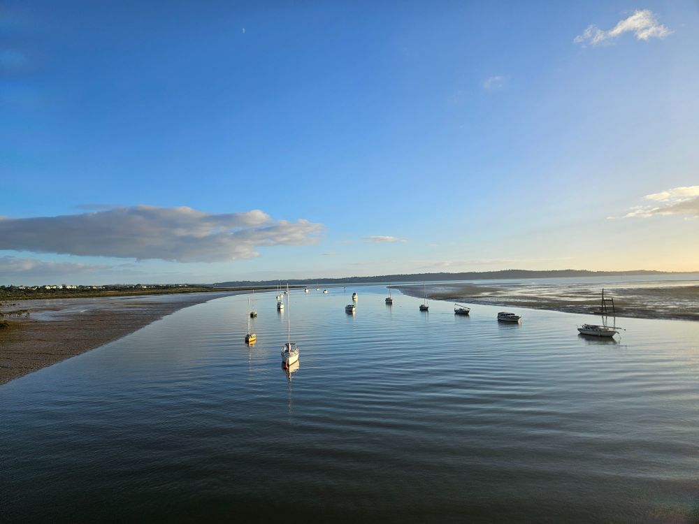 Boats moored at Whau River mouth. The sky is blue with few clouds. The water is calm with few ripples & the moored boats reflect the golden morning light.