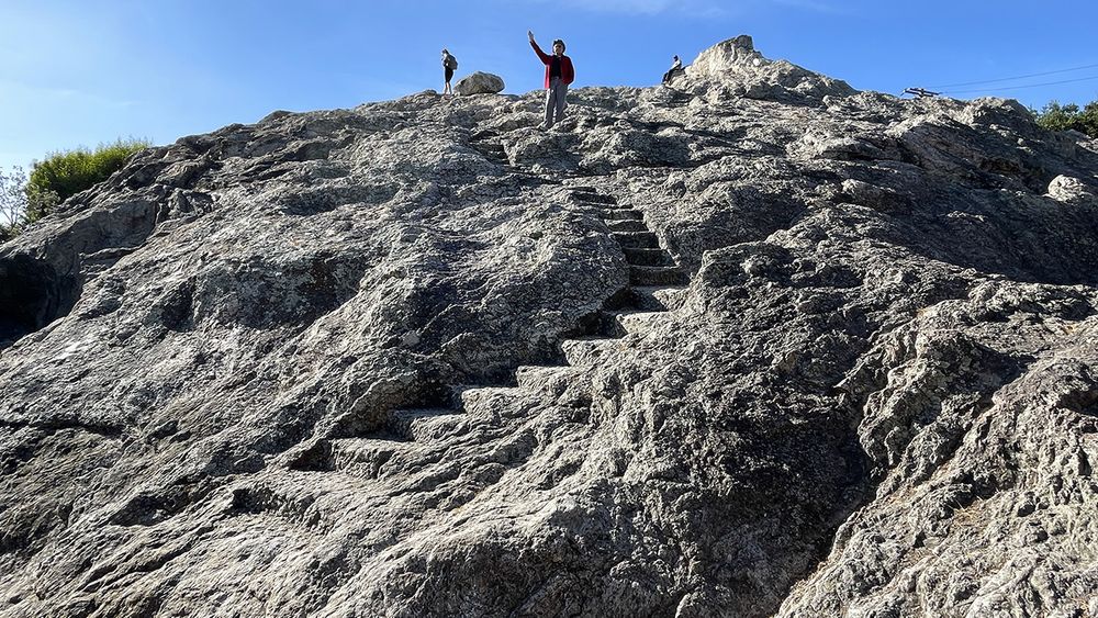 I climbed a big rock almost all the way to the top and saw the view. I was triumphant! An adventure at Indian Rock Park in Berkeley California!