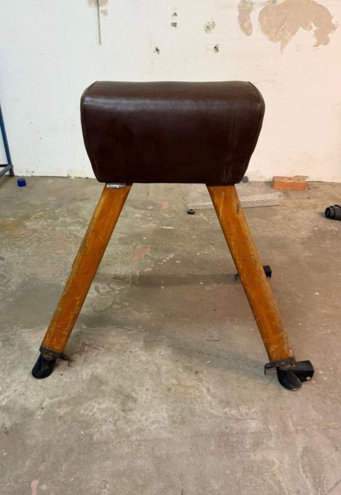 Das Bild zeigt einen Springbock (Sportgerät).