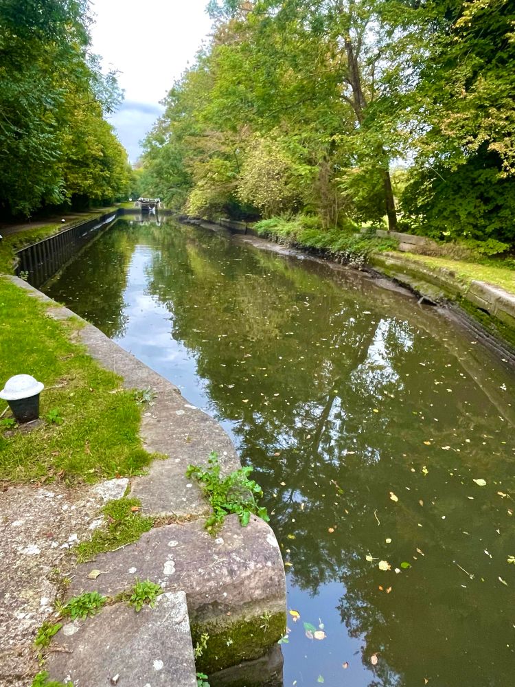 Low water levels in the pound