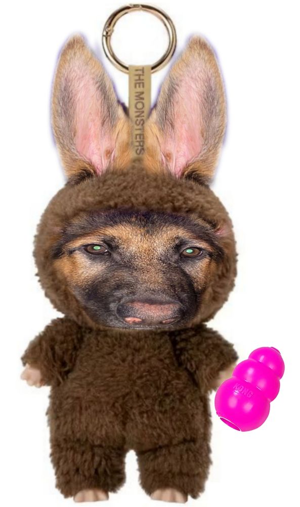 She also has her own labubu thanks to a friend, that's her favourite toy in her hand :3