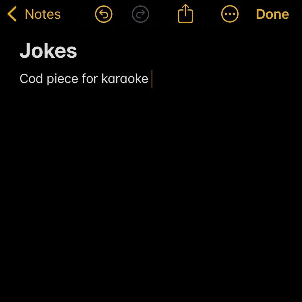 Screenshot of Notes app with header of Jokes and underneath it is written cod piece for karaoke 