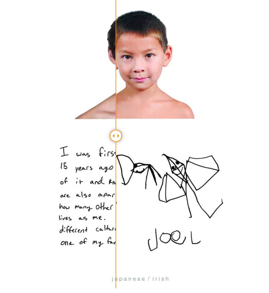 A screenshot from the hapa.me website by Kip Fulbeck. This participant identifies as both Japanese and Irish.