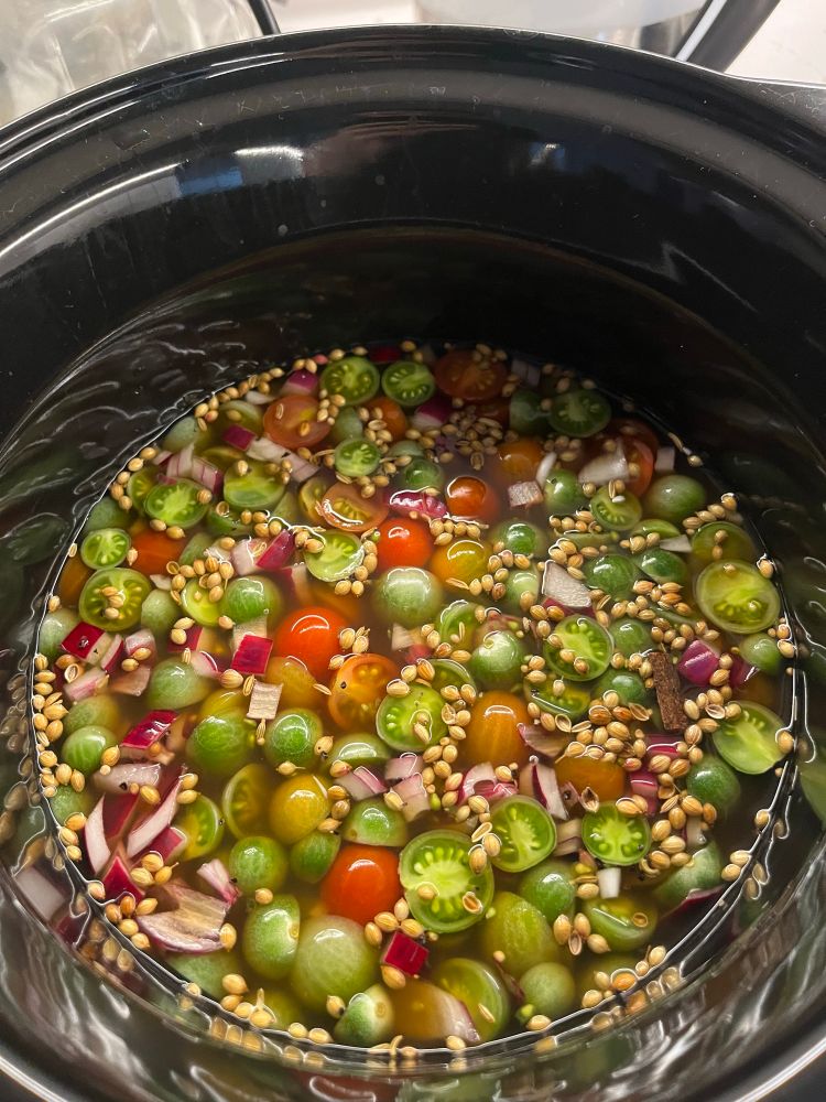 Tomatoes, onions, and spices in a slow cooker, being turned into chutney 