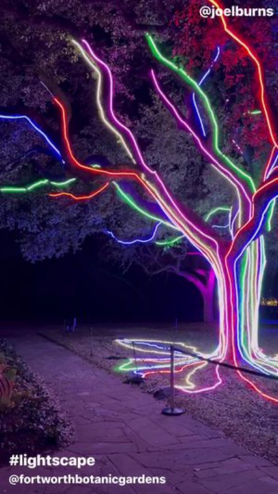 Fort Worth Botanic Garden #lightscape with the #bears. #fortworth...