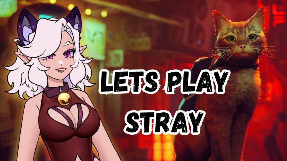 LETS PLAY: STRAY