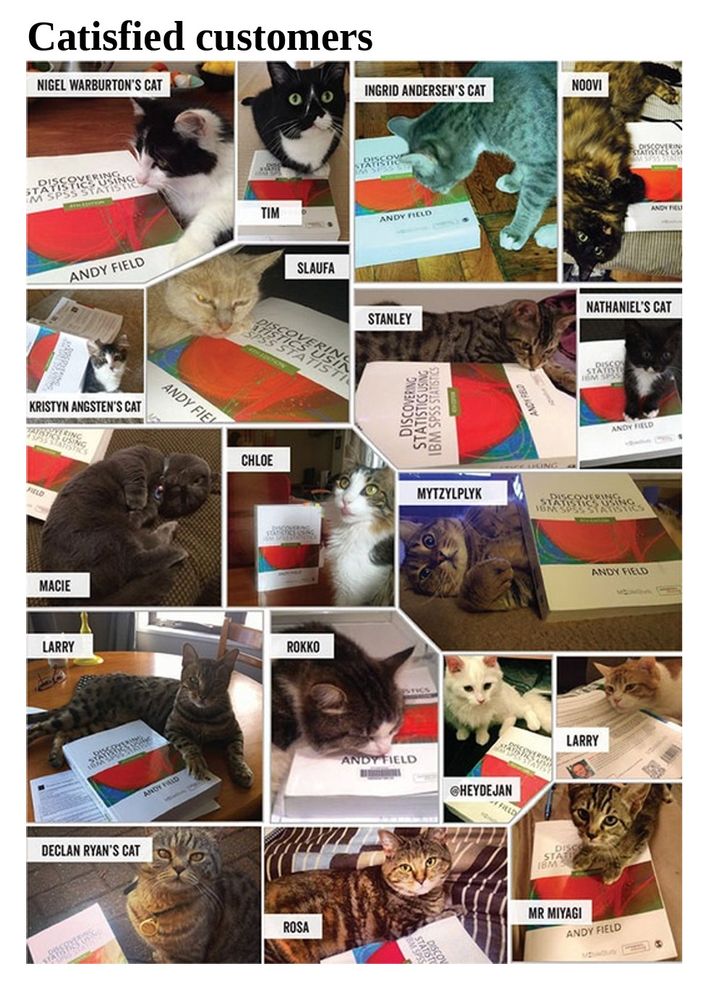 Pictures of cats sitting on the book 