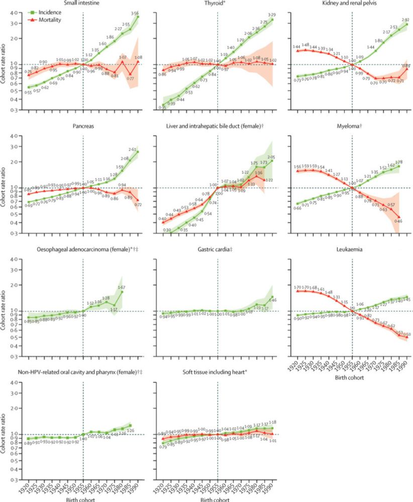 Differences in cancer rates among adults born between 1920 and 1990 in the USA: an analysis of population-based cancer registry data