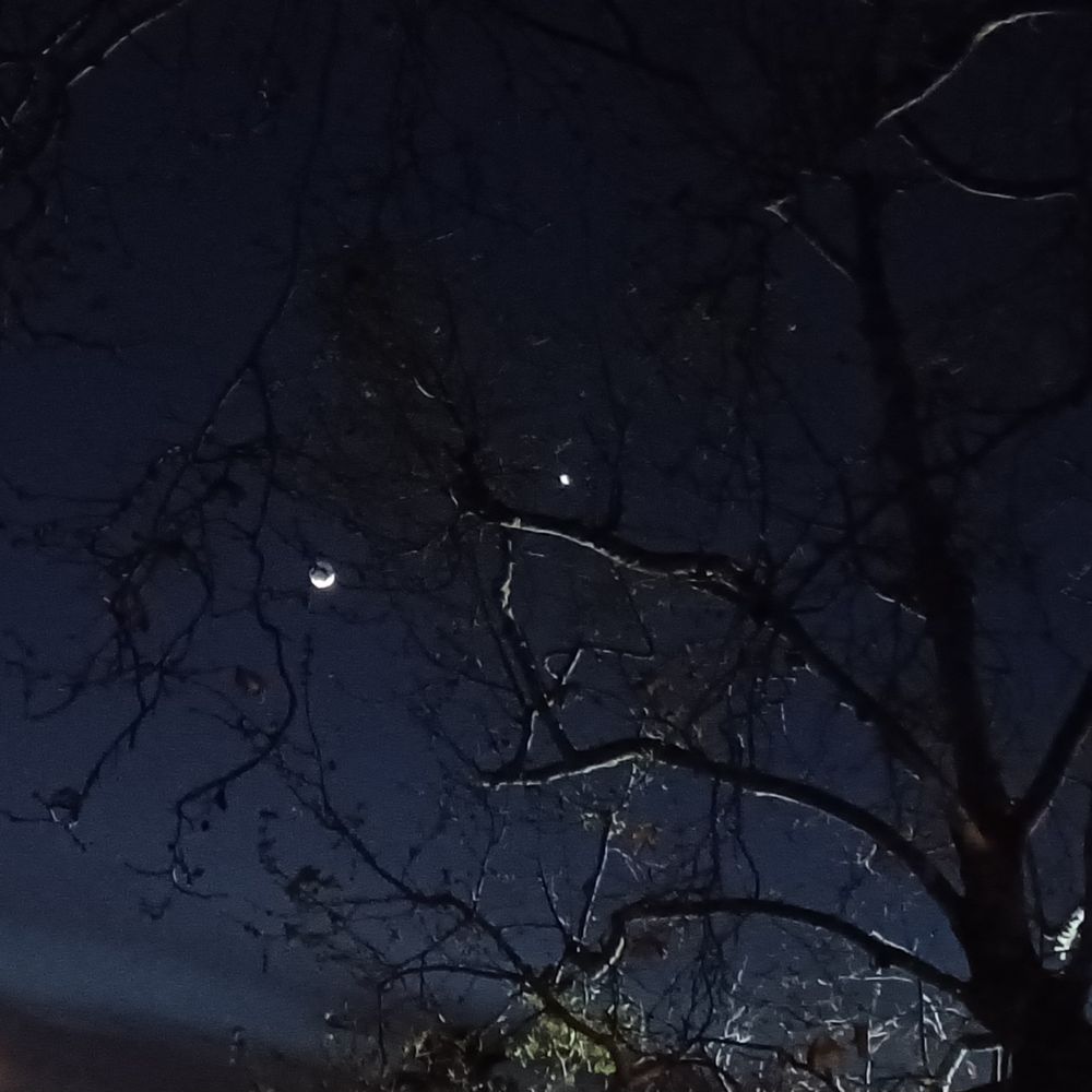 The crescent moon (with earthshine) and Venus shining through a leafless sycamore tree against a dark blue post-sunset sky. The branches of the tree are lit from below by a porch light. The moon, Venus, and several of the branches imply a face.