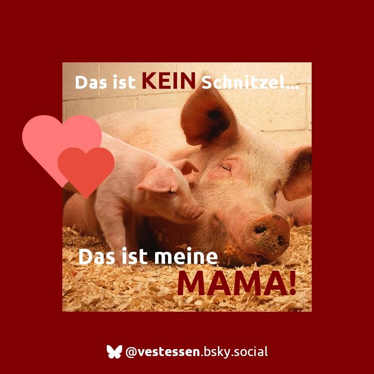 Das Bild zeigt eine auf Stroh liegende Sau und ein Ferkel. Dazu den Text „Das ist kein Schnitzel. Das ist meine Mama!”