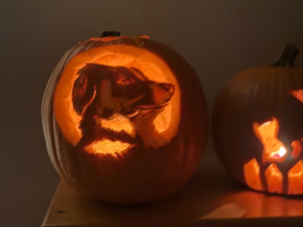 pumpkin carved to resemble this poster's dog
