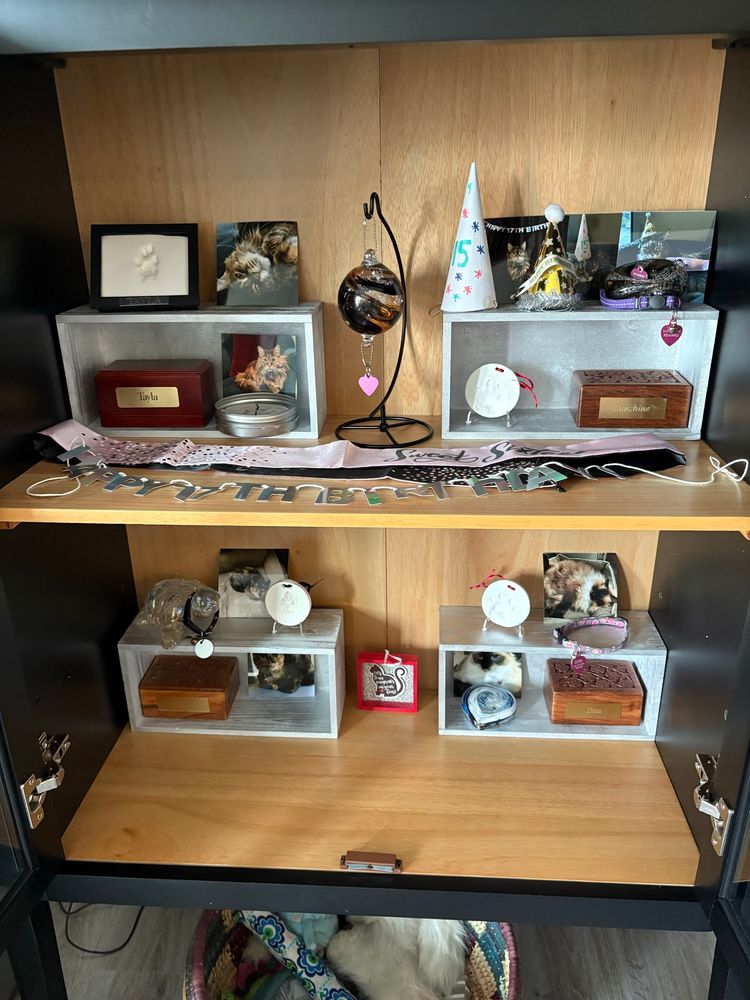 Shelves containing shadow boxes containing urns labeled with the names of cats along with clay paw prints and photos of the cats.