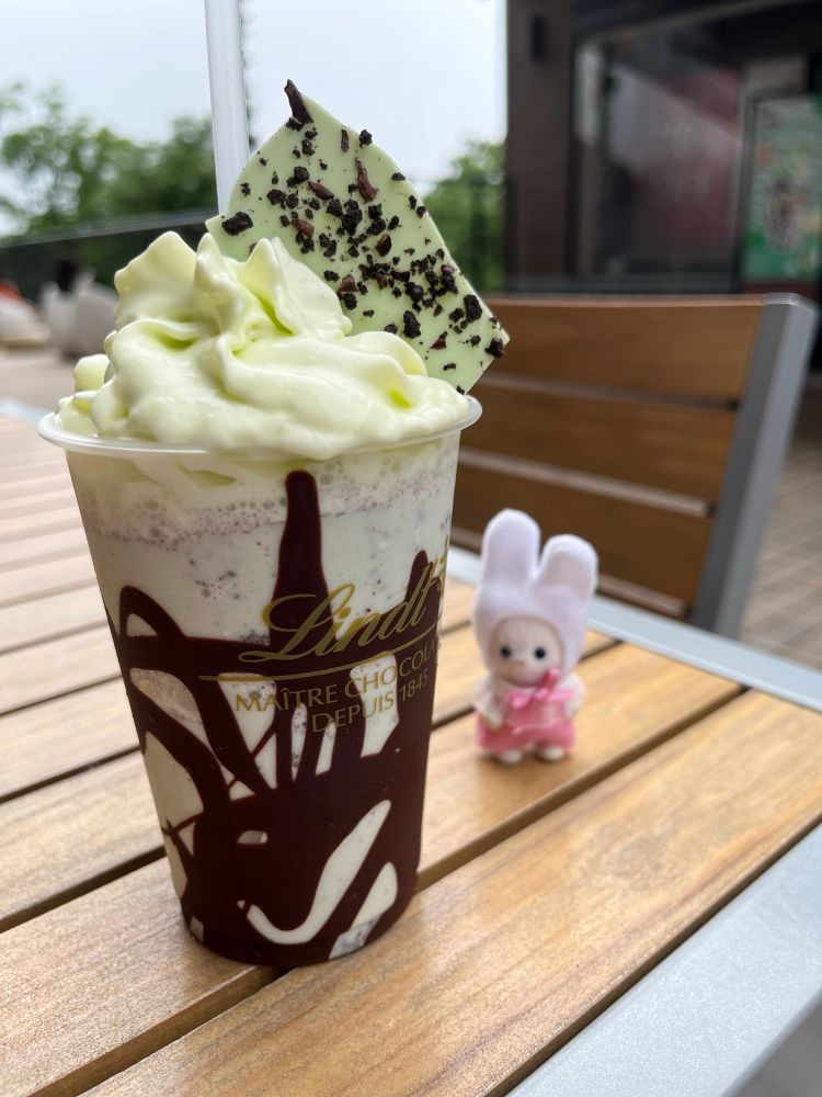 リンツの期間限定ドリンクチョコミント味
ミントドリンクあ甘いけど側面のチョコはダークで、パリパリしておいし🫶
#たべたもの記録