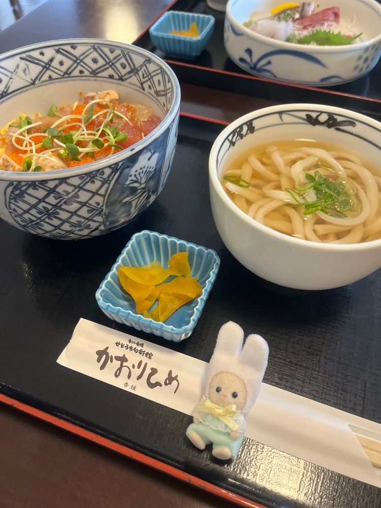 おてもとに座ってみたシルバニアファミリー ペルシャネコの赤ちゃん