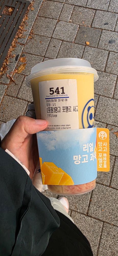 차백도 망고 포멜로 사고