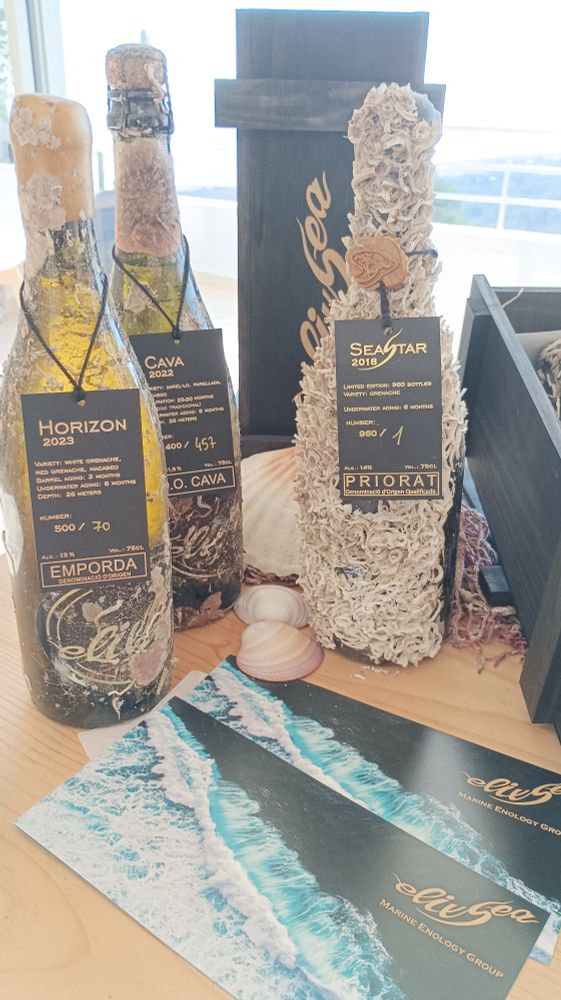 Drei Flaschen Wein, die unter Wasser gealtert sind. Am Flaschenglas heften Seepocken
