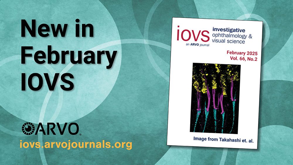 Promotional image for the February 2025 issue of ARVO's Investigative Ophthalmology & Visual Science (IOVS) journal, featuring a colorful microscopic image of cells on the cover. The text highlights the availability of new content and includes the journal's website url: iovs.arvojournals.org.