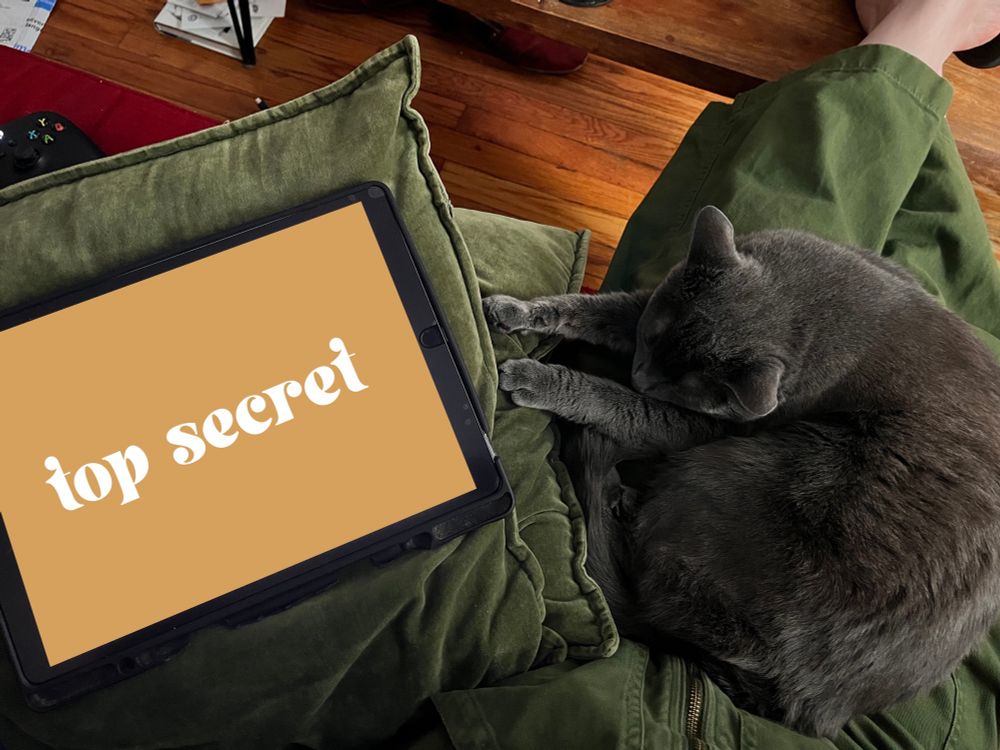 Little velvety grey cat on green cargo pants that match velvet green pillows and my ipad edited to hide project