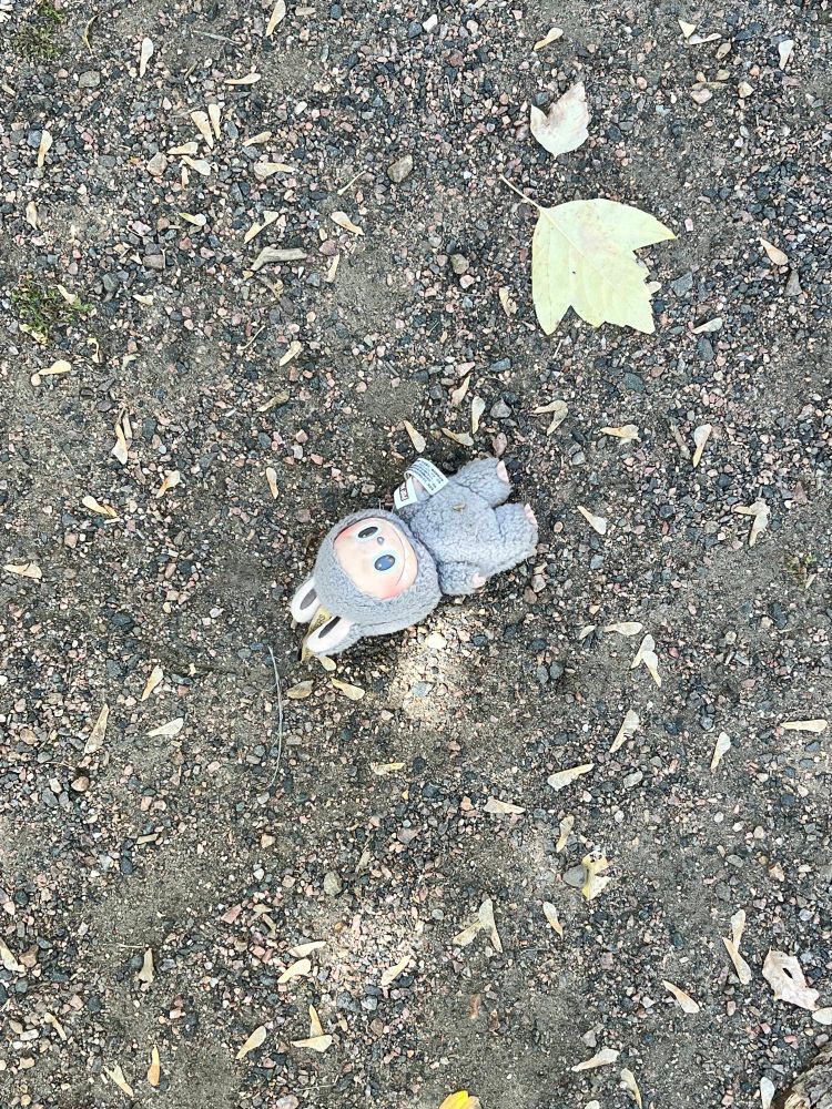 a discarded grey labubu (lafufu???) on dirt by a fallen leaf 