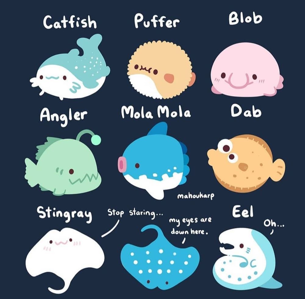doodles of some sea creatures 

featured are catfish, puffer, blob, angler, mola mola, dab, stingray, and eel 