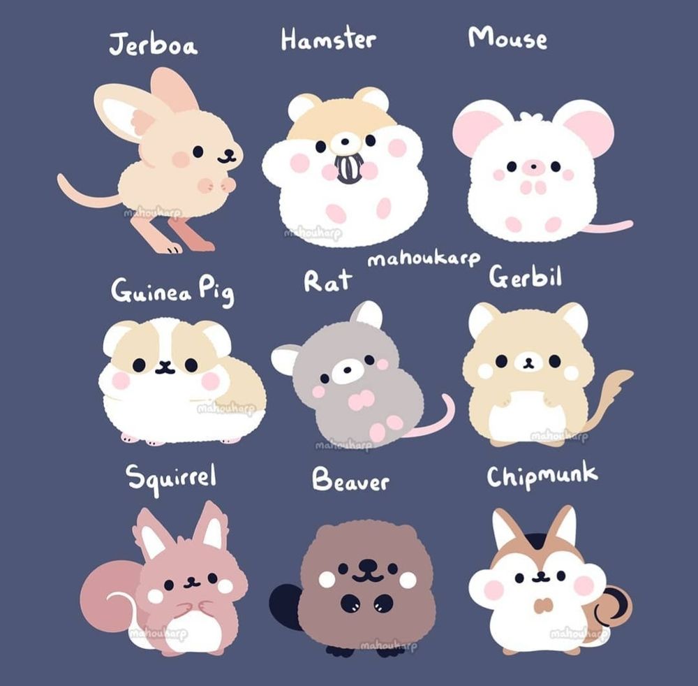 illustrations of animals from the rodentia family 

featured are jerboa, hamster, mouse, guinea pig, rat, gerbil, squirrel, beaver, and chipmunk