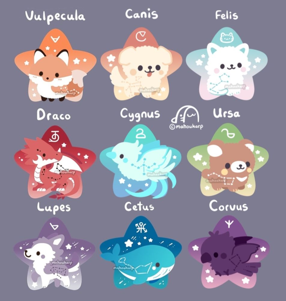 illustrations of various constelations, featured are vulpecula a fox, canis a dog, felis a cat, draco a dragon, cygnus a swan, ursa a bear, lupes a wolf, cetus a whale, and corvus a crow