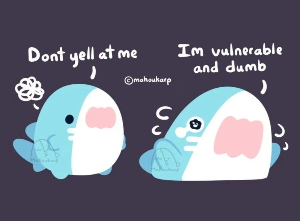 Comic of a silly shark that looks frustrated

Text: "Dont yell at me Im vulnerable and dumb"