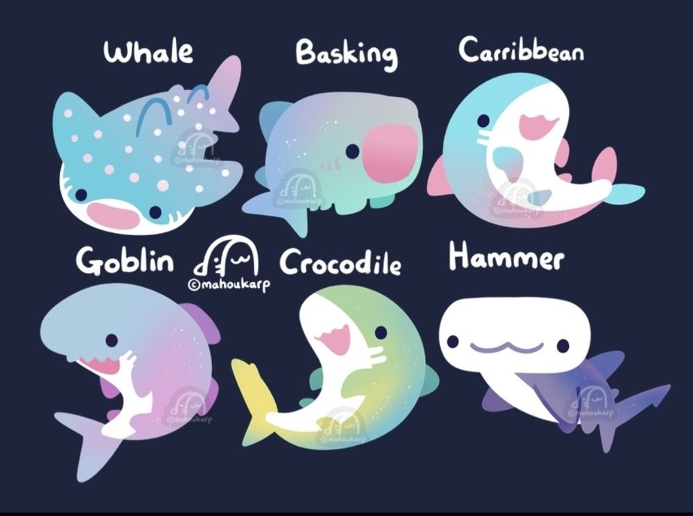 Illustration of a variety of sharks 

Sharks featured are Whale, Basking, Carribbean, Goblin, Crocodile, and Hammer