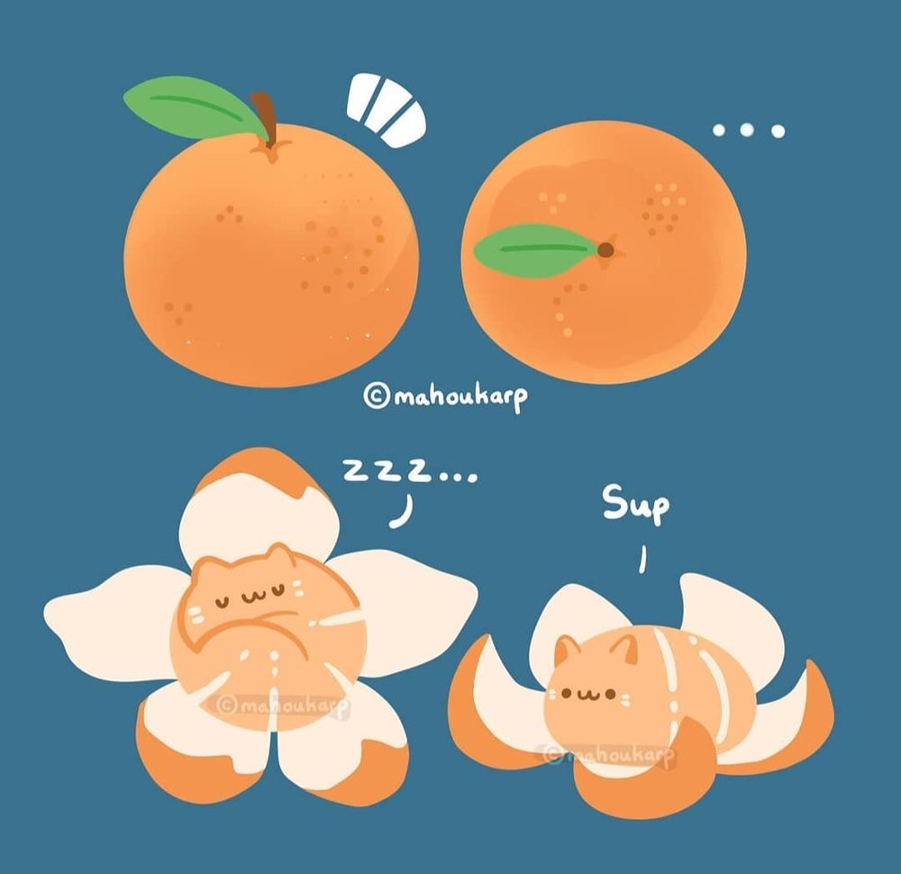 illustration of an orange, inside is an orange cat but litteral 