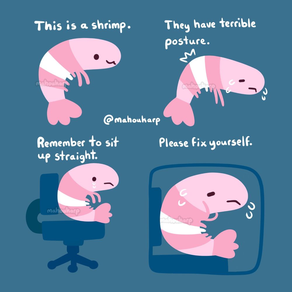 Comic of a shrimp with a bad back 

"This is a shrimp, they havd terribld posture. Remember to sit up straight, please fix yourself."