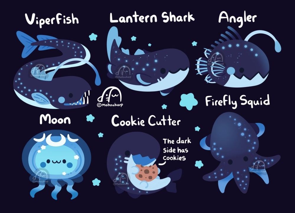 Illustration of various sea animals that have the ability to use bioluminescence. The image consists of bright and dark blues creating a glow. 

Animals featured: viper fish, lantern shark, angler fish, moon jelly, cookie cutter shark, and firefly squid