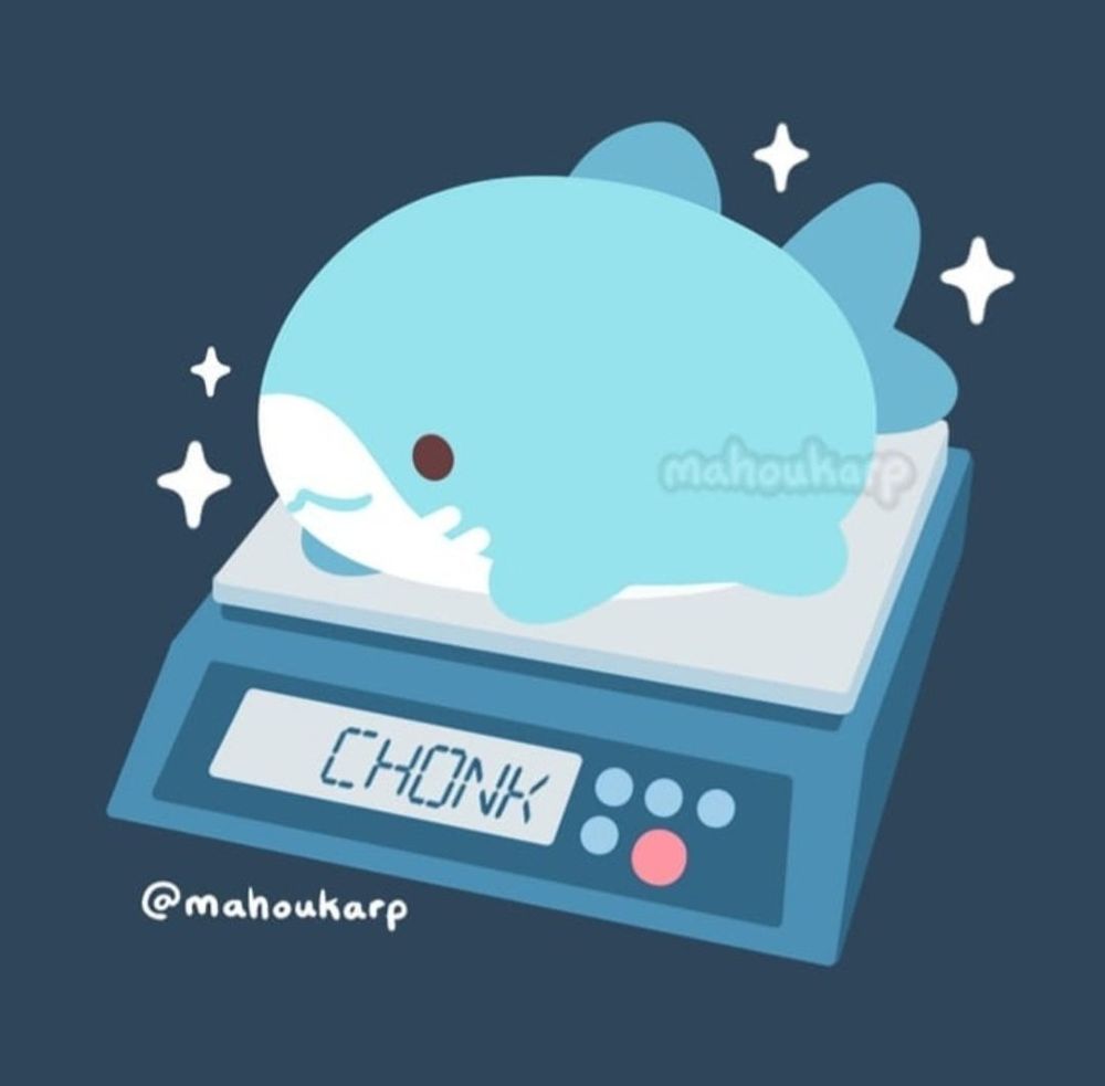 Illustration of a shark on a scale. The scale reads chonk instead of actual numbers. This boy is so round