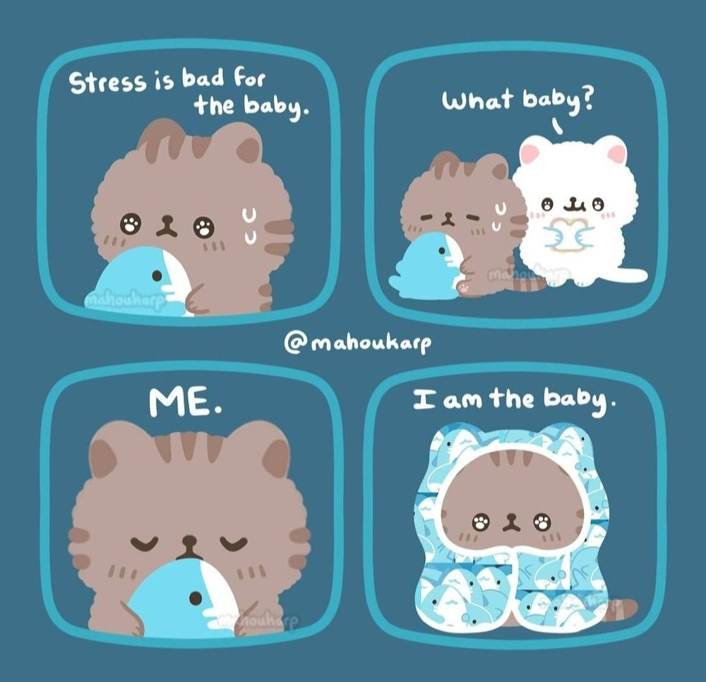 comic of two cats 

text says:

Cat 1: Stress is bad for the baby *holds shark plushie tightly*

Cat 2: What baby?

Cat 1: Me, I am the baby *proceeds to cover self with blanket*