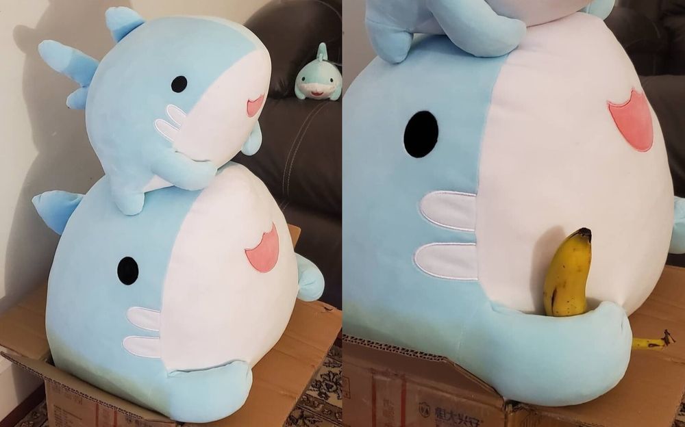 Jumbo mako shark plushies by mahoukarp. The banana is for scale 