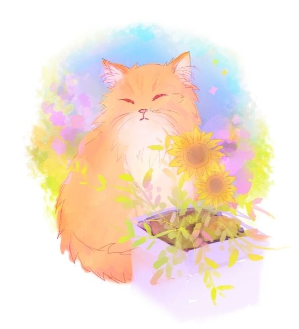 Drawing of a fluffy warm orange cat relaxing besides plants/sunflowers. It is inspired from my own cat.