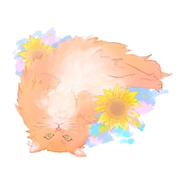 Drawing of a fluffy warm orange cat relaxing besides plants/sunflowers. It is inspired from my own cat.