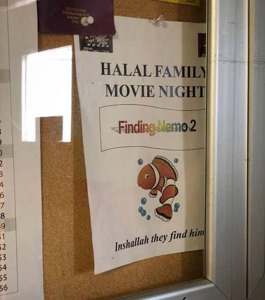 Halal family movie night: Finding Nemo 2
Inshallah they find him