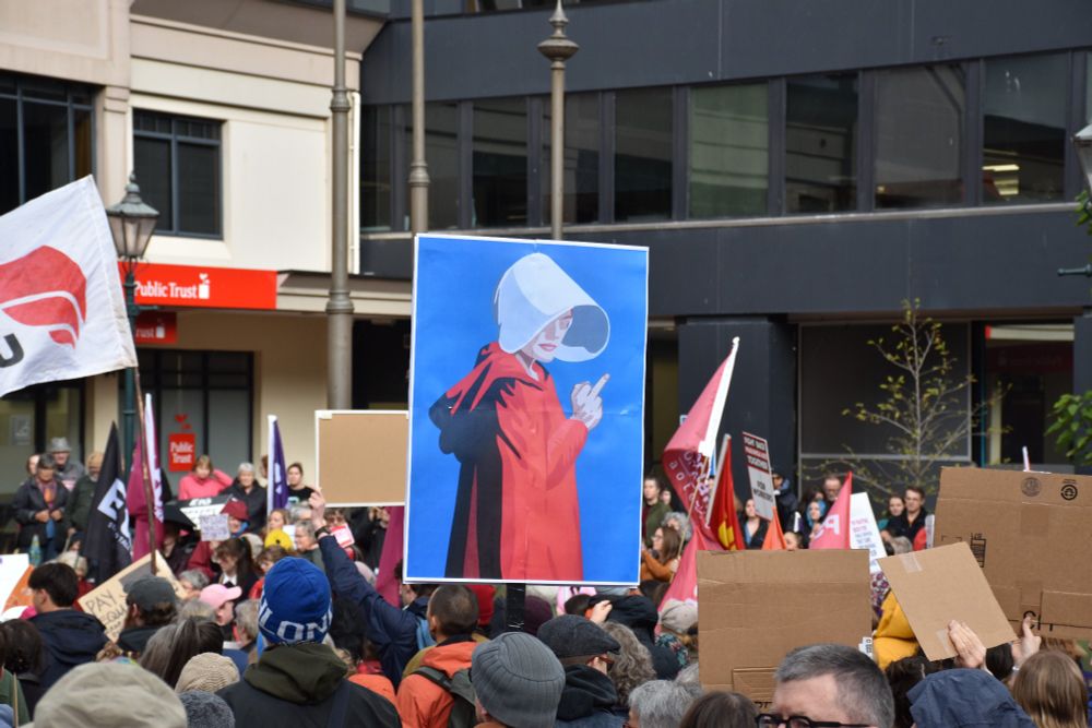 Crowd with a giant sign of a Handmaid giving the middle finger