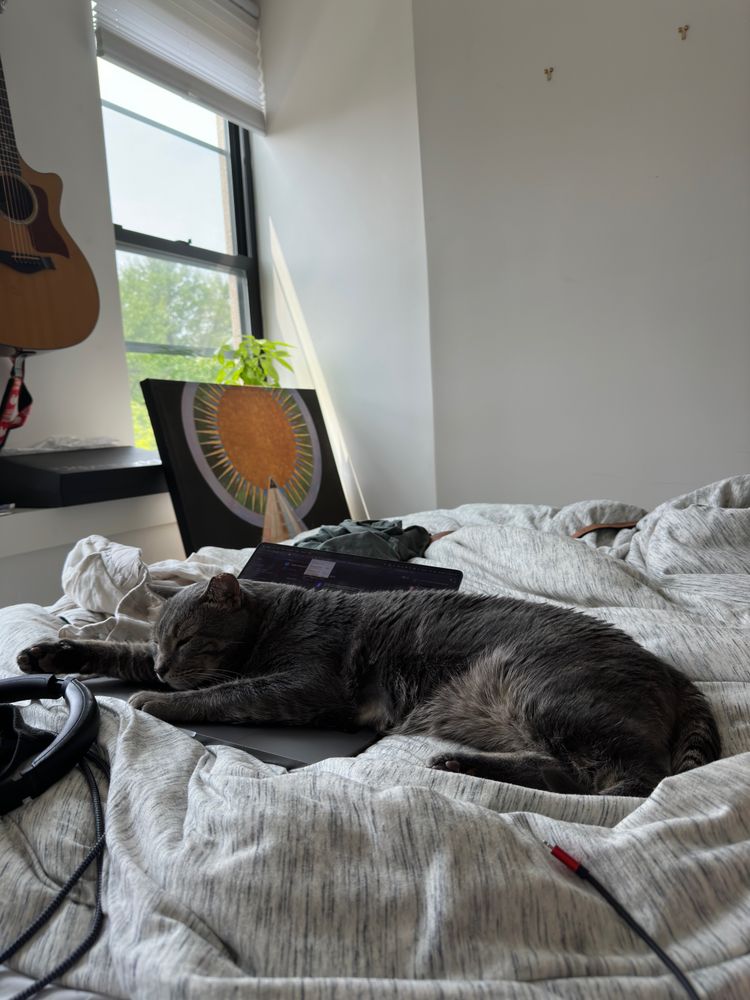 A picture of my cat, Professor Simba, passed out asleep on my laptop which is resting on my bed. 