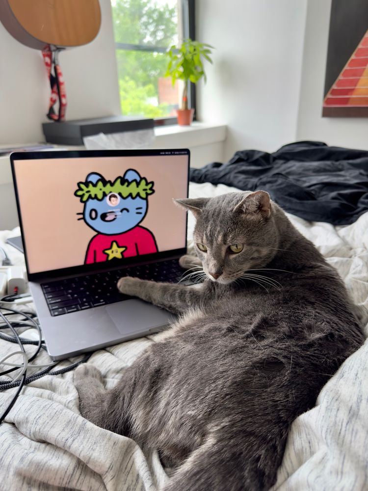 A picture of my cat, Professor Simba, looking at the camera while sitting on my bed and placing two of his paws on my laptop’s keyboard