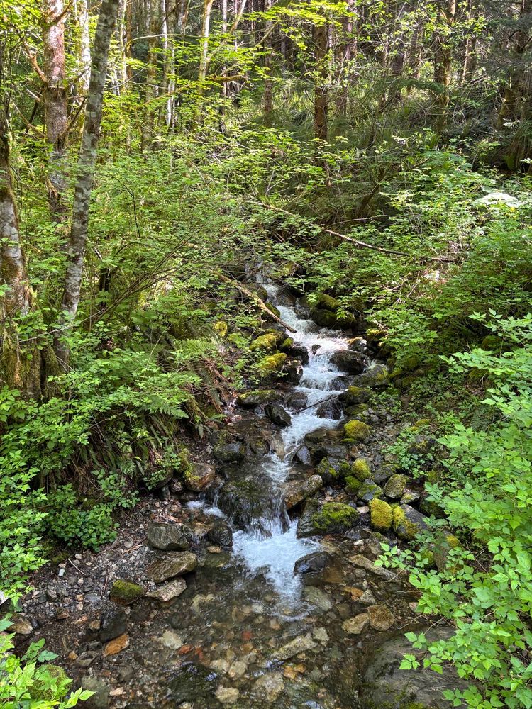 View from a bridge looking down toward a clear pool of water surrounded by rocks and greenery of the lower forest, with several short cascades of white falls coming down the mountainside.