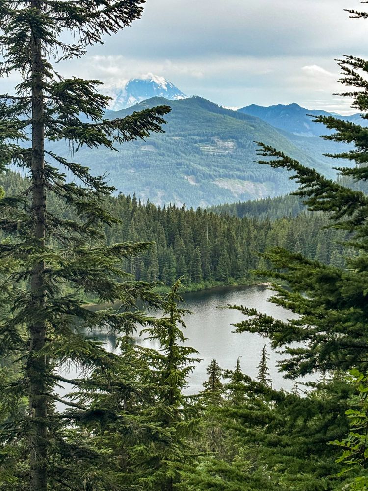 Photo framed by conifers on both sides looking down through a forest at a lake reflecting an overcast sky, with tree covered mountains behind the lake and a snow capped mountain, partially obscured by clouds, in the far distance.