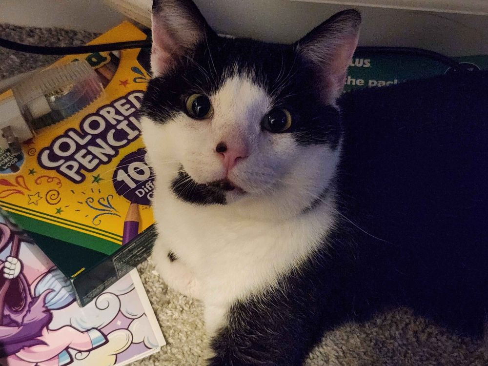 a clear picture of Tucker's face without a single thought behind his pretty green eyes