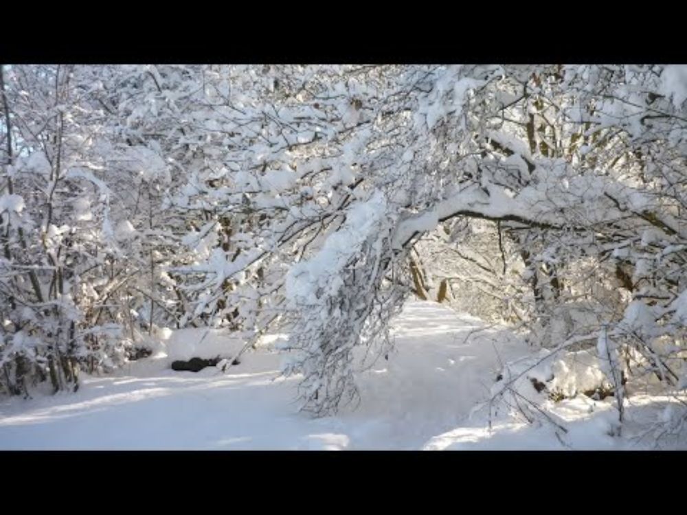 Winter - part of 'The Wheel Turns' Orchestral Suite