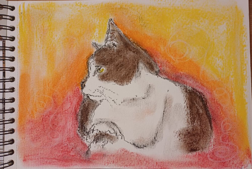 Pastel drawing of brown and white cat on a red/orange/yellow background