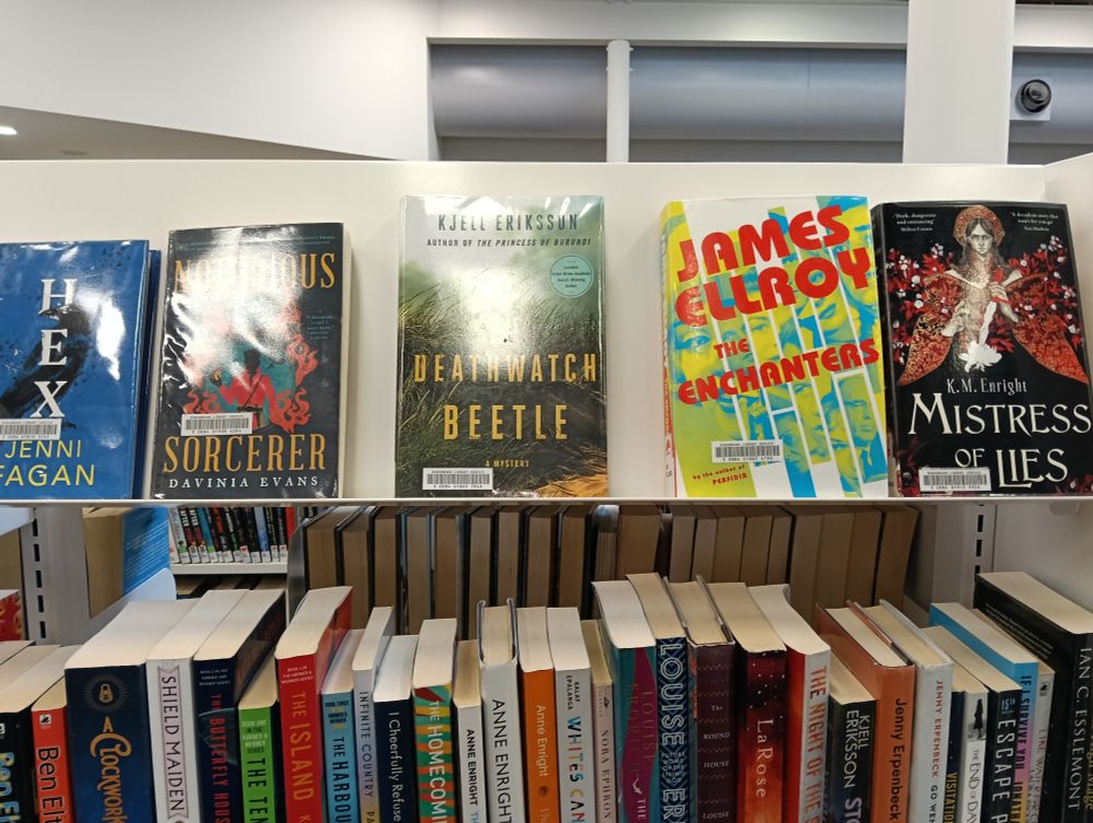 On a display shelf atop other spine-out books are five face-out books, including Notorious Sorcerer by Davinia Evans (aka me) and Mistress of Lies by KM Enright.