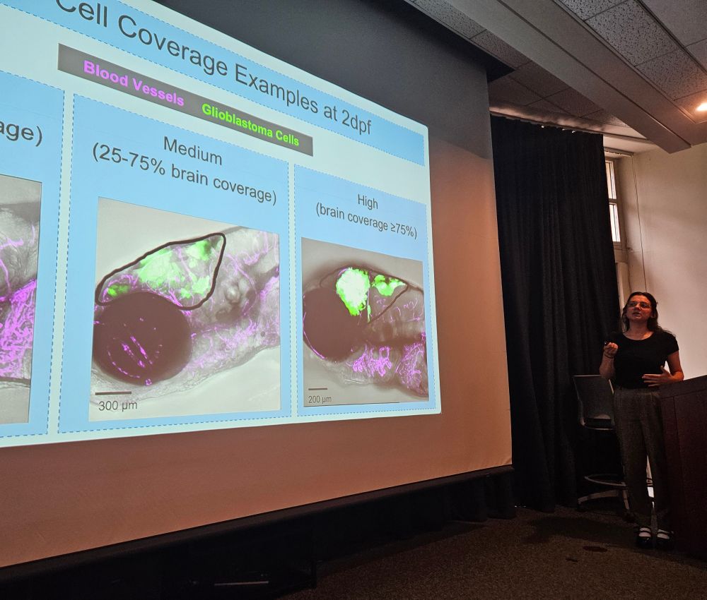 Megan showing her glioblastoma model