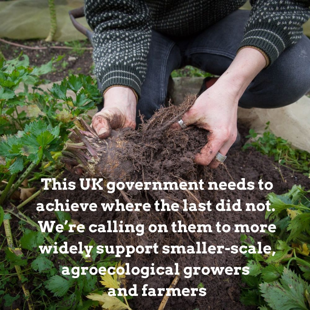 Hands in soil, holding a vegetable root. Overlaid text reads: "This UK government needs to achieve where the last did not. We're calling on them to more widely support smaller-scale, agroecological growers and farmers"